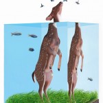 joshkeyes